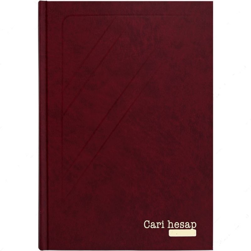 Dilman Cari Hesap Defteri 17*24 240yp